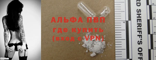 спиды Богородск