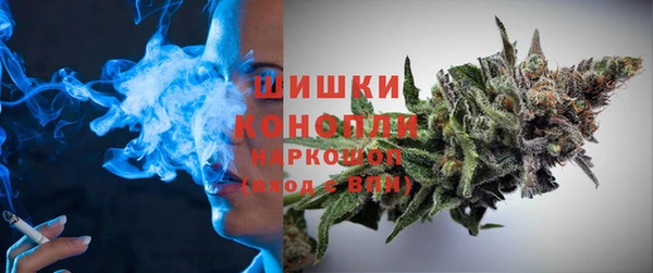 спиды Богородск